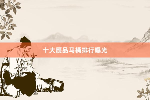 十大赝品马桶排行曝光