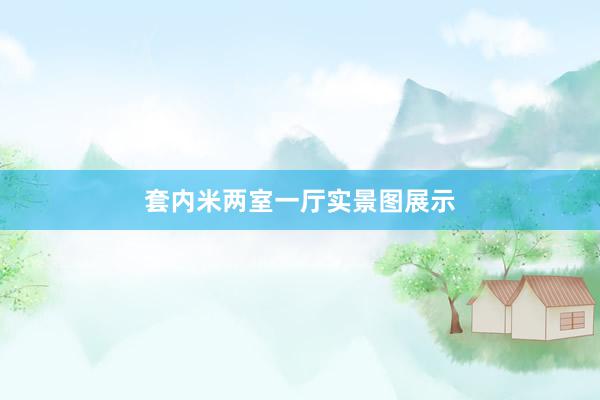 套内米两室一厅实景图展示