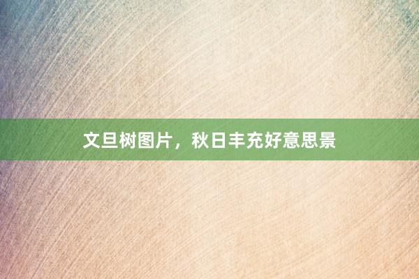 文旦树图片，秋日丰充好意思景