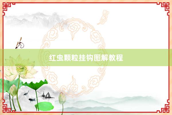 红虫颗粒挂钩图解教程