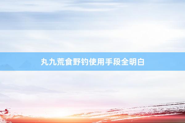 丸九荒食野钓使用手段全明白