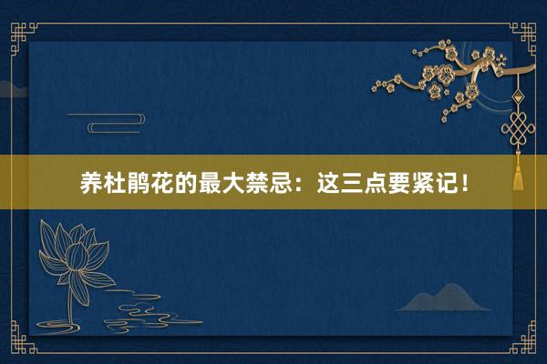 养杜鹃花的最大禁忌：这三点要紧记！